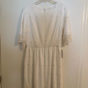 NWT! Lace cream dress